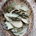 Bay Leaves, Bay Leaves Powder