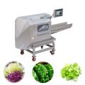 Фруктовая и овощная стиральная машина/замороженная линия овощей