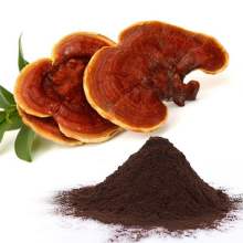 Organic Ganoderma Reishi Mushroom Lingzhi Extract Powder