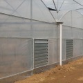 Tunnel tropical plastic film grape production greenhouse