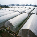 Single Span Plastic Film Greenhouse For Plant