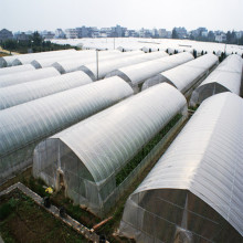 Single+Span+Plastic+Film+Greenhouse+For+Plant