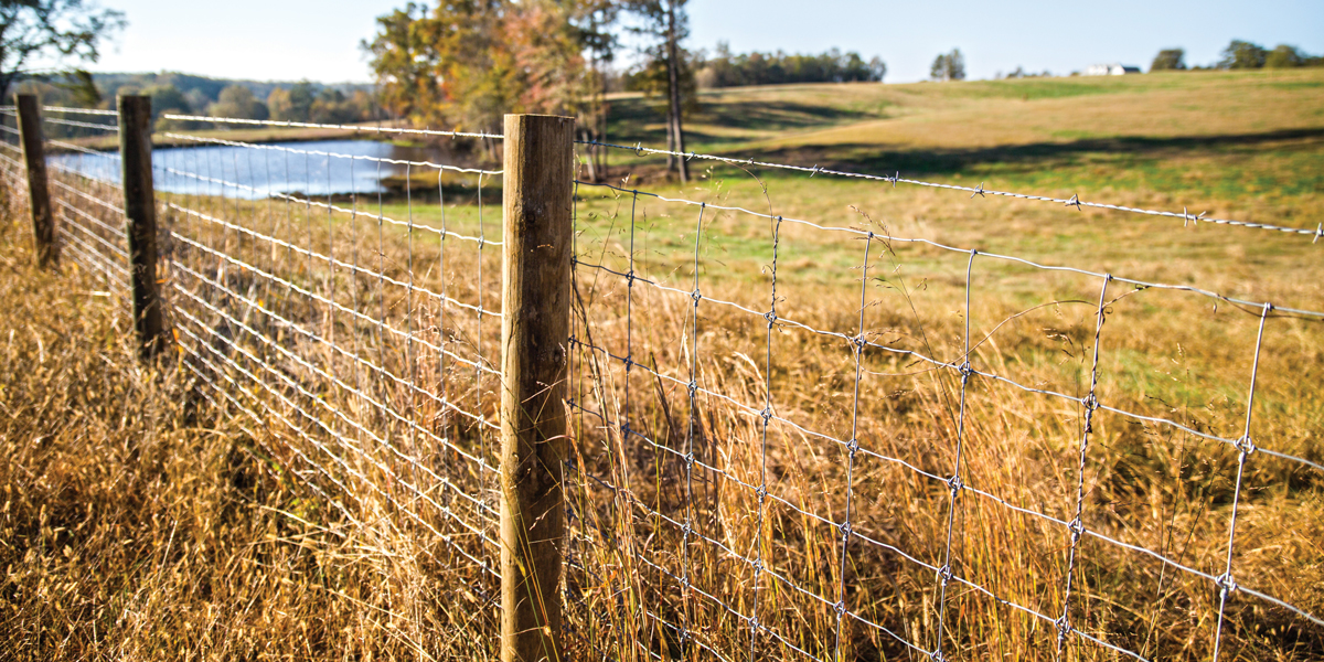 Animal Deer Fence