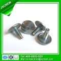 Truss Head Stainless Steel Torx Screw