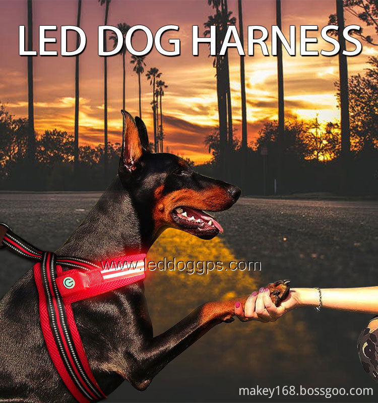 Led Pet Harness