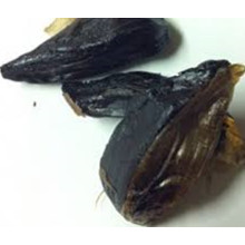Gousses de Garlci noires adaptées aux arômes