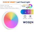 Éclairage de panneau LED RVB durable pour la maison