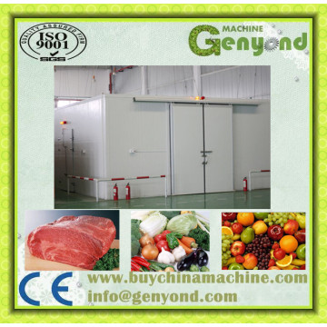 Cold Storage Room for Vegetable Fruit in China