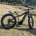 BAFANG 48V 750W Mid Motor Mountain Bike Bike Full Suspension