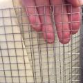 Cheap High Quality Galvanized Welded Wire Mesh Roll