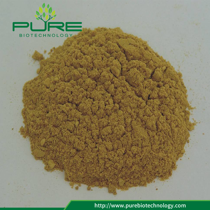 Freeze Dried Sea Buckthorn Powder with No Additives (2)