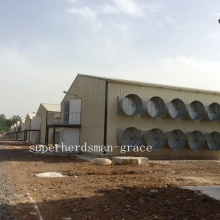 Steel Structure Poultry Control Shed for Chicken Production