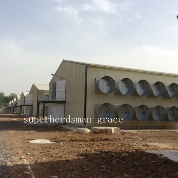 Hangar de contrôle de volaille de structure en acier pour la production de poulet