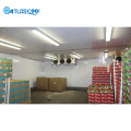 Cold Storage Room for Vegetables