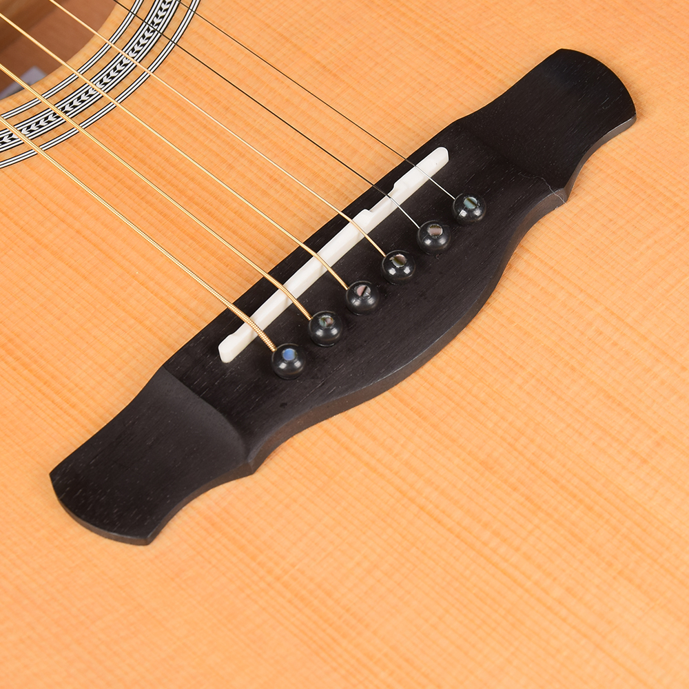 Ts66 Semi Guitar Acoustic Ts66 Semi Guitar Acoustic