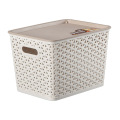 Caja de almacenamiento de plástico de diseño creativo de diseño para almacenamiento (SLSN065)