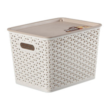 Creative Weave Design Plastic Storage Box for Storage (SLSN065)