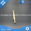 High Precision Customized Brass Transmission en laiton Small Spline pour diverses machines