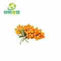 Sea Buckthorn Juice Powder