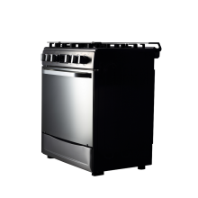 Electric Oven for Home