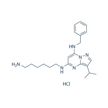 BS-181 HCl 1397219-81-6