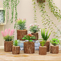 Stump Flowerpot Wooden  Wall Hanging Decoraiton