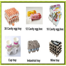 Full Automatic Egg Box Machines