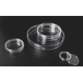 60 x 15 mm Disposable Petri Dish