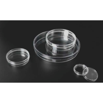 100 mm Plastic Petri Dish