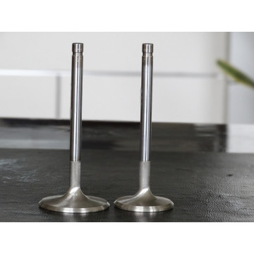 Stainless Steel Engine Parts Engine Valve