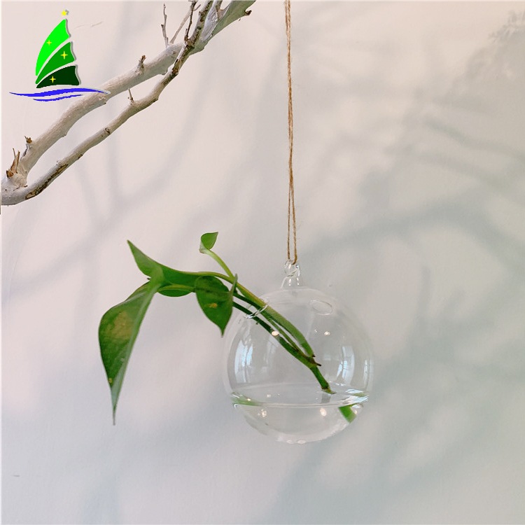 Artdragon-hanging-egg-shape-glass-terrarium-4home