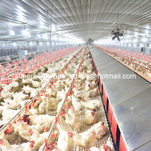 Equipo de cobertizo de control de aves de corral para la casa de criadores