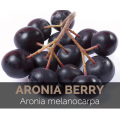 Factory Supply aronia chockberry fruit powder aronia powder