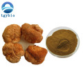 Wholesale 30% Polysaccharides Lions Mane Mushroom Extract