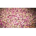 Rose Extract/Rose Powder