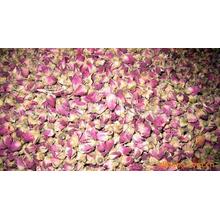 Rose Extract/Rose Powder
