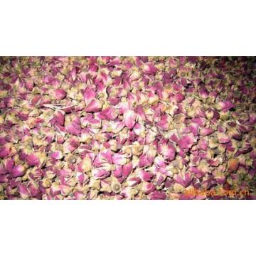 Rose Extract/Rose Powder