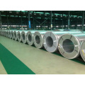 Print/Desinged Prepainted Galvanized Steel Coil