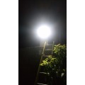 Solar Street Light for Algeria Market