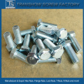 Electric Galvanized Bolts Nuts