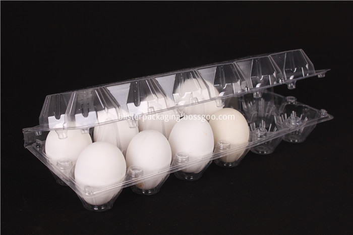 plain egg cartons