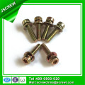 Torx Socket Head Cap Screw with Washer, Sems Screw