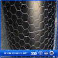 Galvanizado e Revestido de PVC Hexagonal Wire Mesh