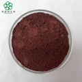 Natural Grape Seed Extract 95% Proanthocyanidins in Stock