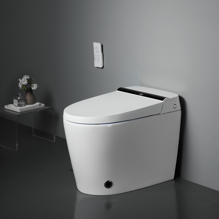 Sinking Tank Automatic Intelligent Ceramic Smart Toilet