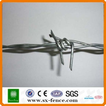 Barbed Wire with Two Strands