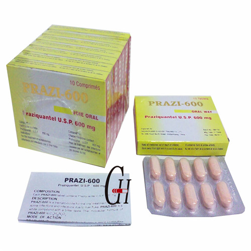 Praziquantel Tablets 600mg