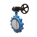 Lug Type Wrom Gear Butterfly Valve