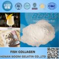 Fish collagen protein