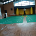 Pisos profesionales para canchas de bádminton de competición en interiores